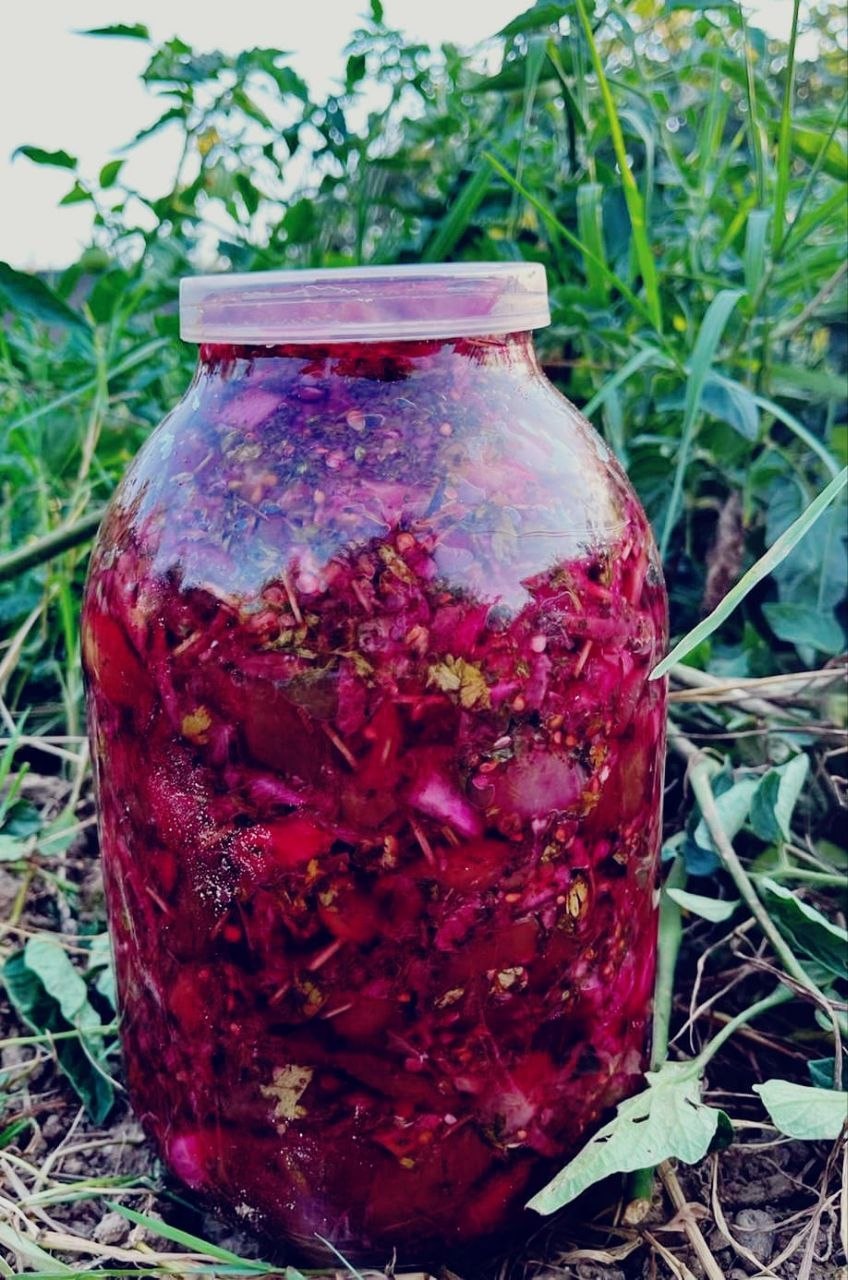 Kələm tutması