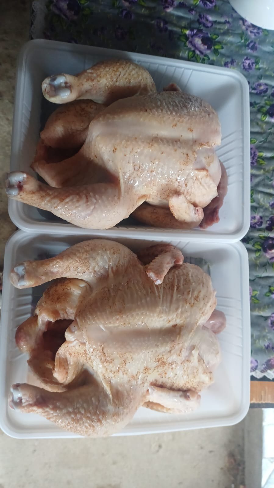 Çiy kuban toyuğu