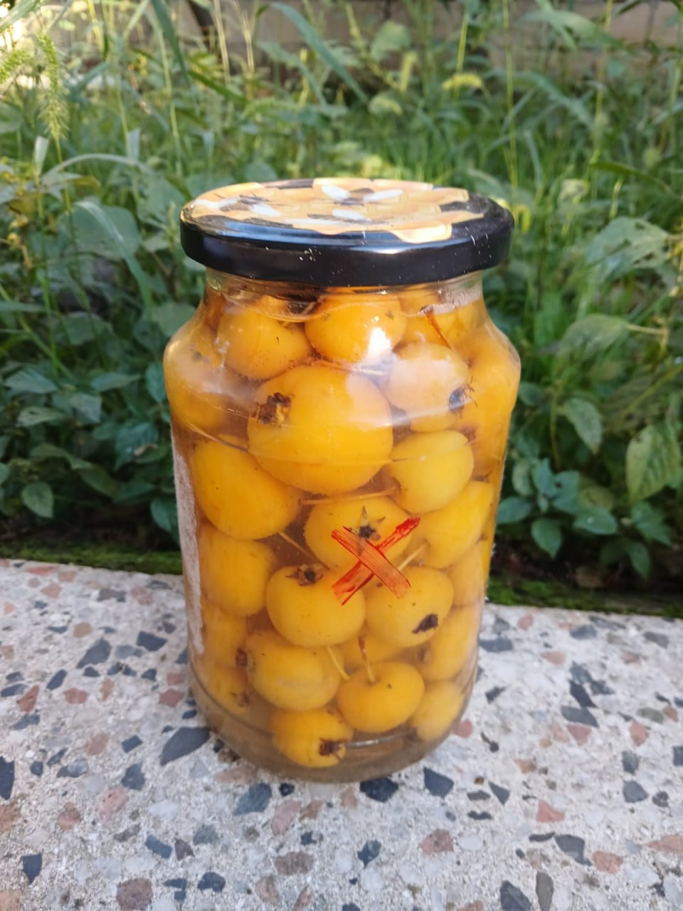 Alma tutması