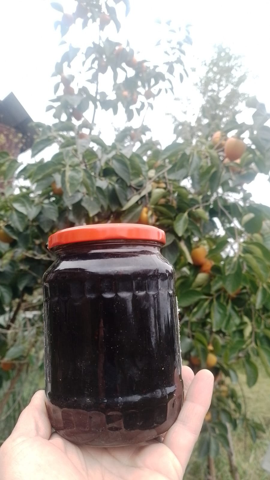 Böyürtkən mürəbbəsi