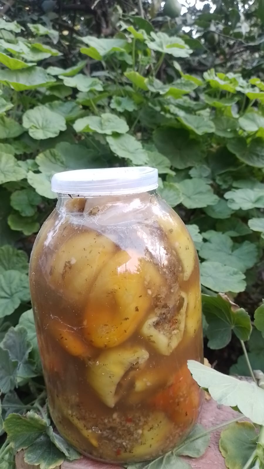 Bibər tutması