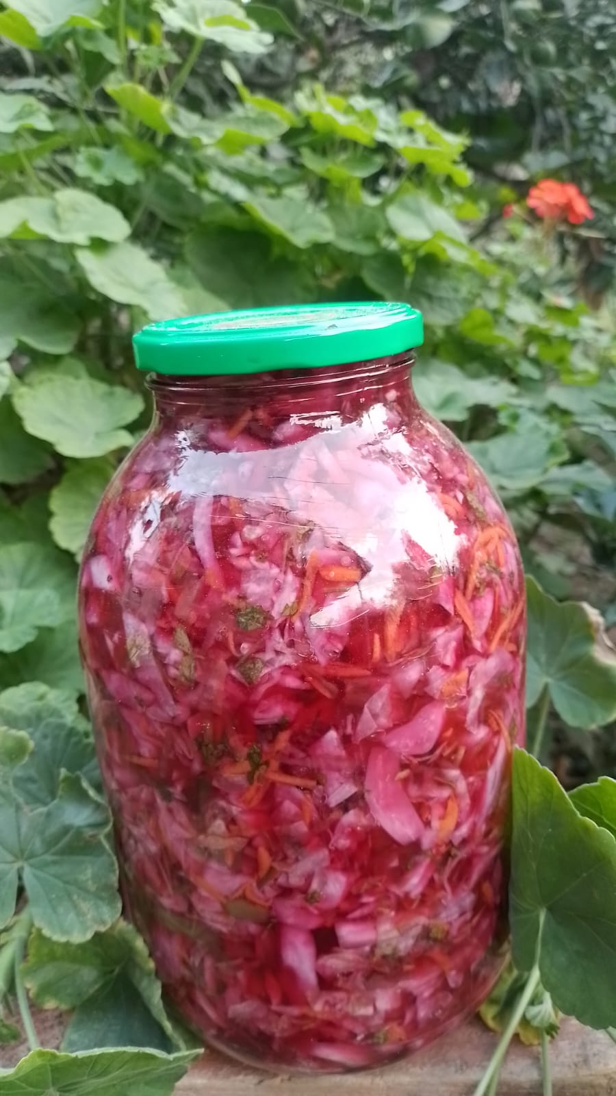 Kələm tutması