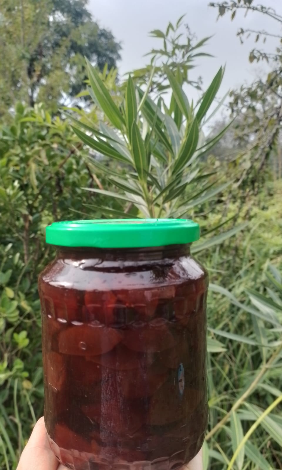 Heyva mürəbbəsi