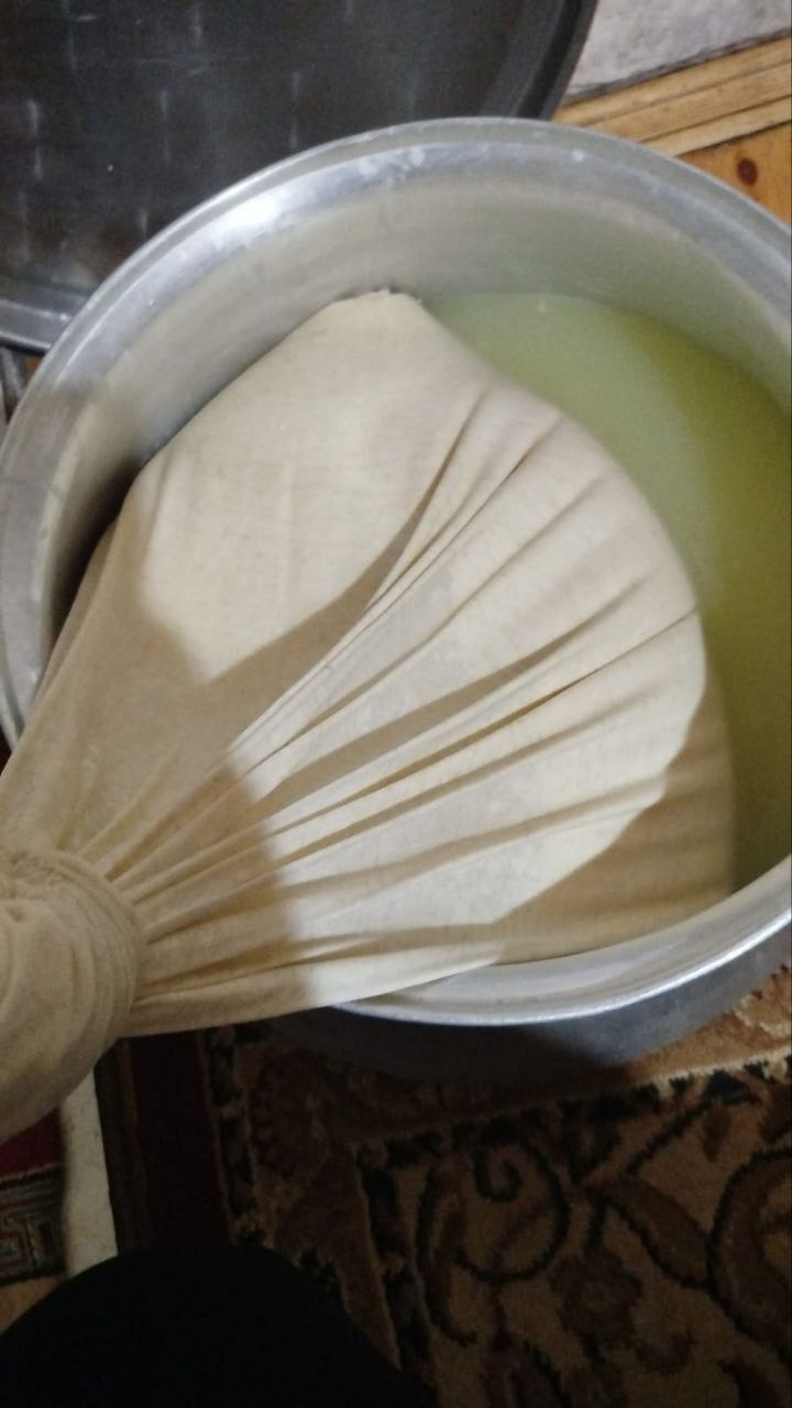 Şor