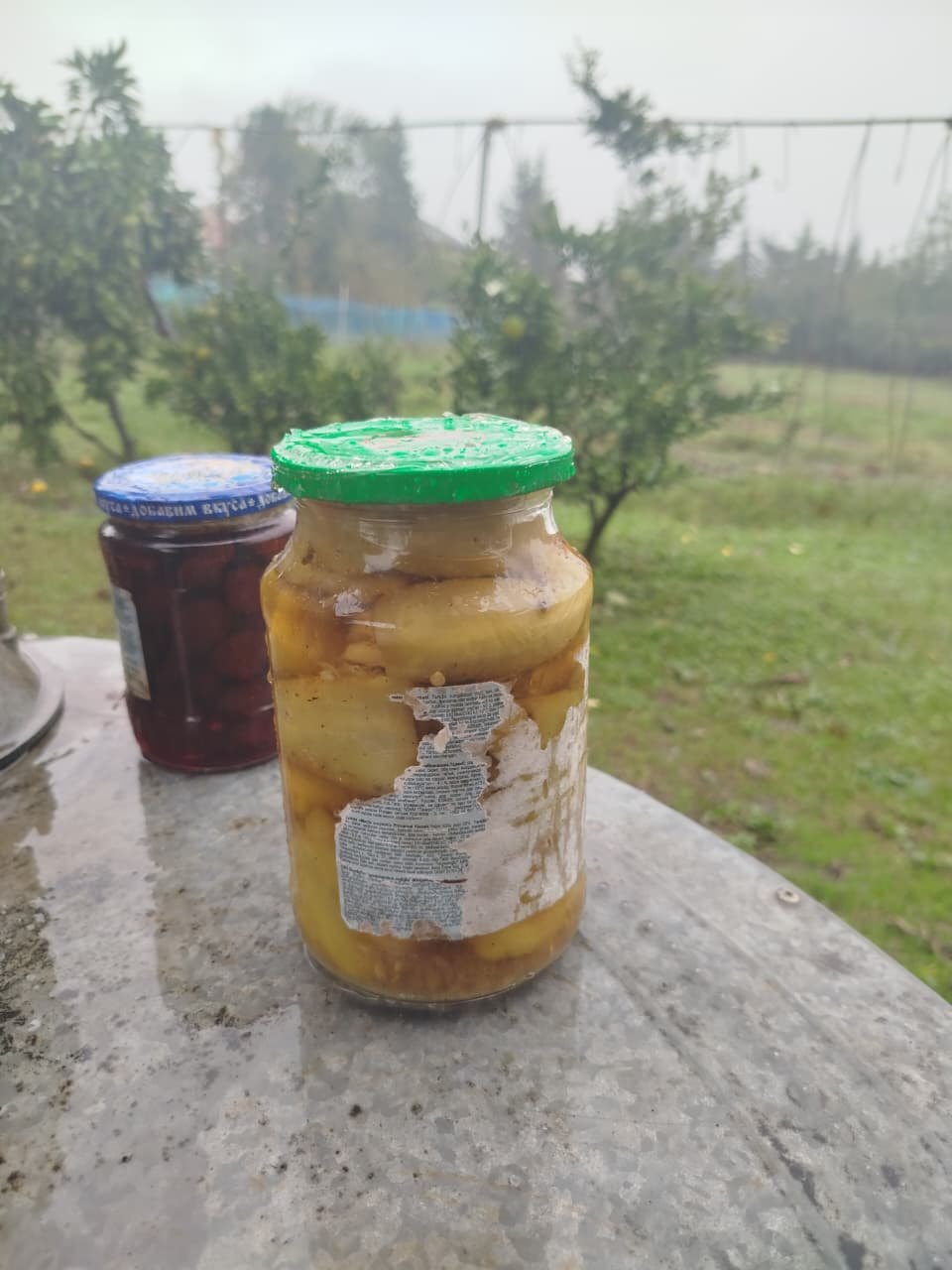 Bibər tutması